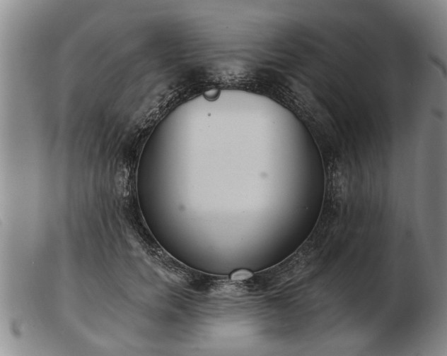 X0000103400750200809191521