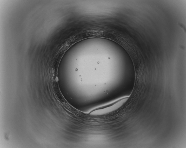 X0000103400752200809191521