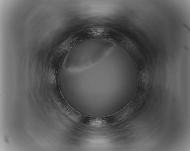 X0000103400754200809191521