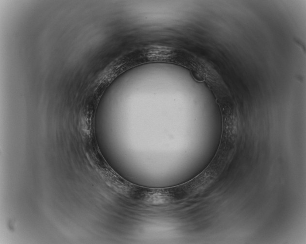 X0000103400755200809191521