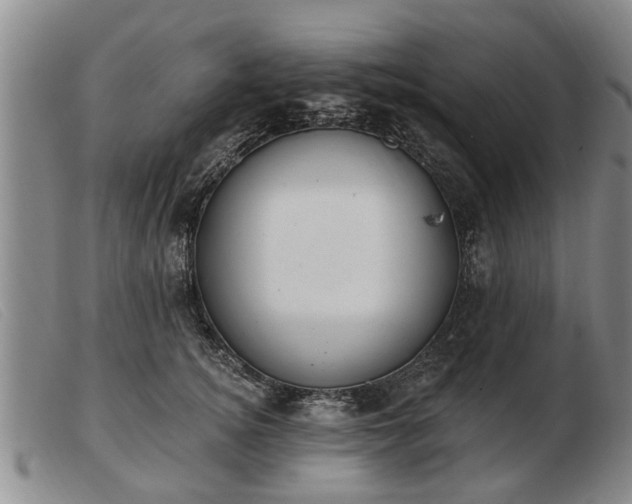 X0000103400756200809191521