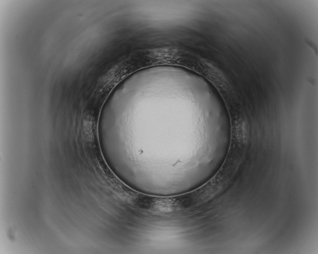 X0000103400757200809191521