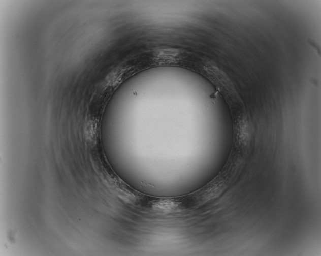 X0000103400759200809191521