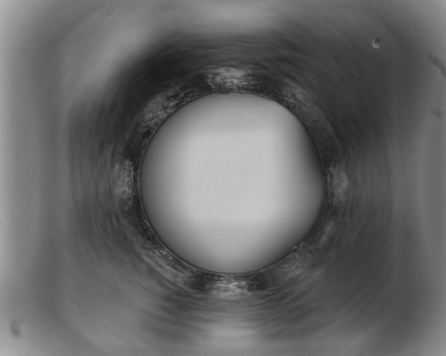 X0000103400760200809191521