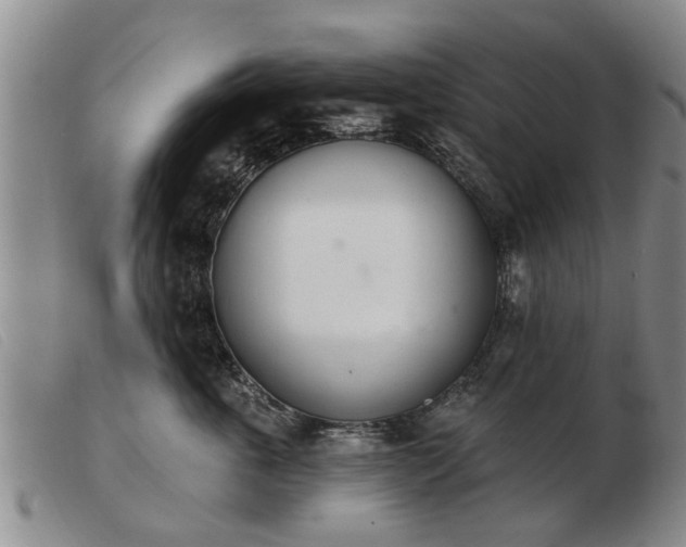 X0000103400763200809191521