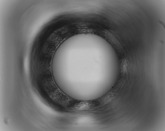 X0000103400764200809191521