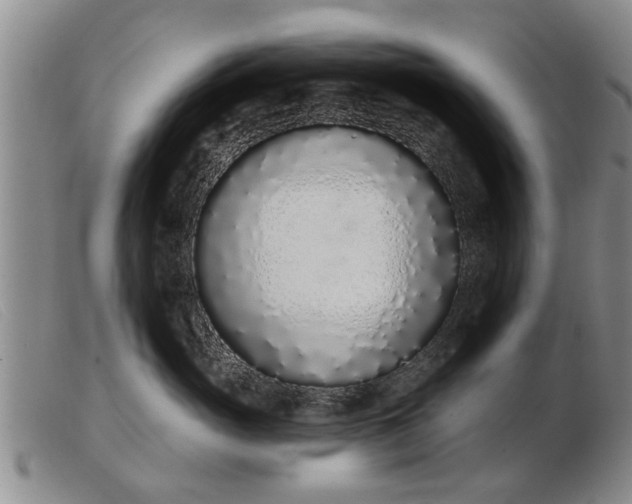 X0000103400765200809191521