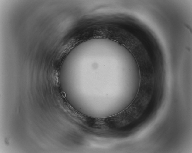 X0000103400766200809191521