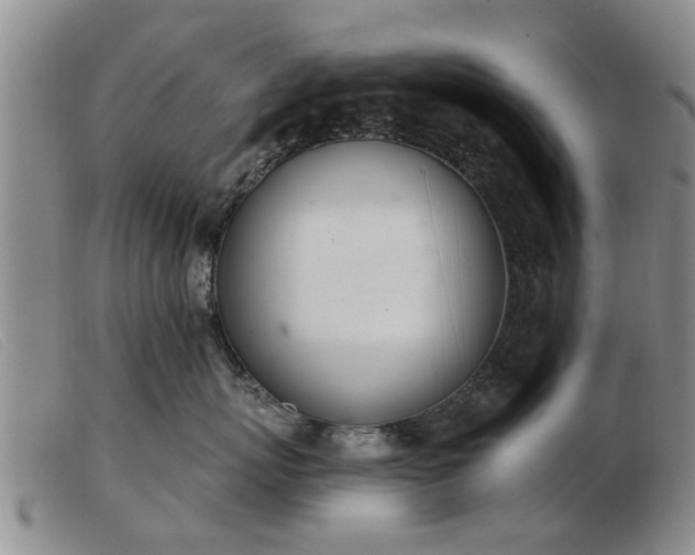 X0000103400767200809191521