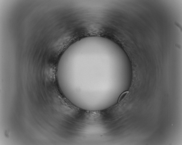 X0000103400768200809191521