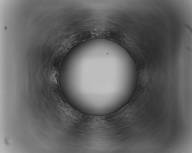 X0000103400770200809191521