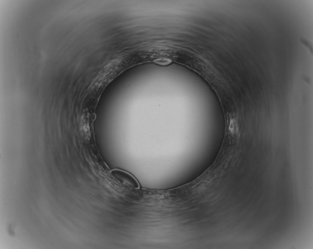 X0000103400771200809191521