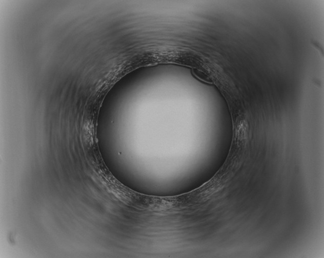 X0000103400772200809191520