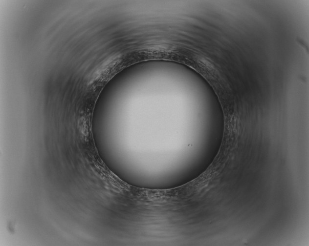 X0000103400774200809191520