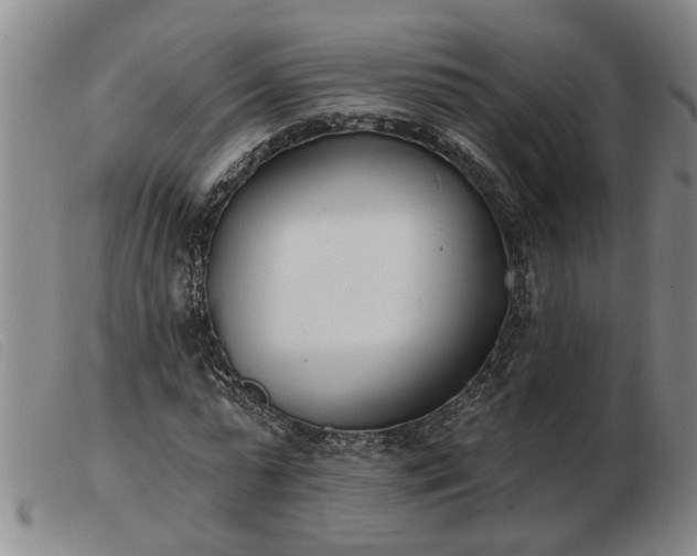 X0000103400775200809191520