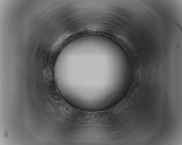 X0000103400776200809191520