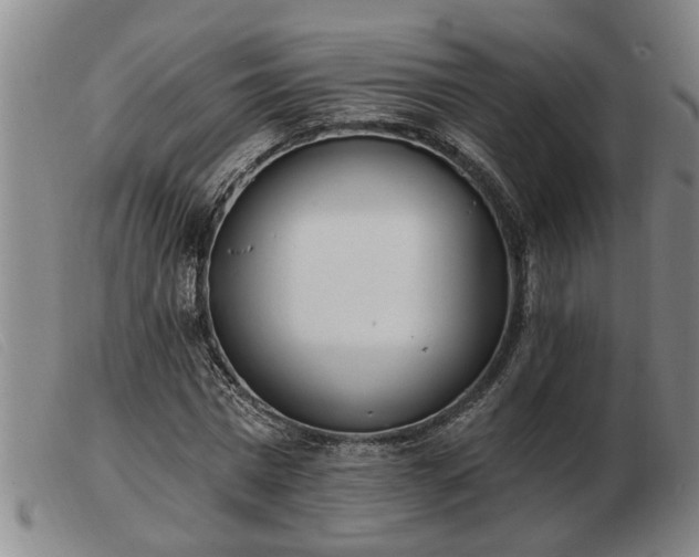 X0000103400777200809191520