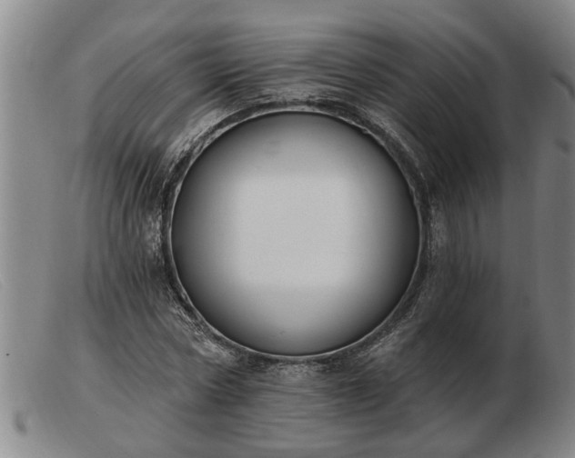 X0000103400778200809191520