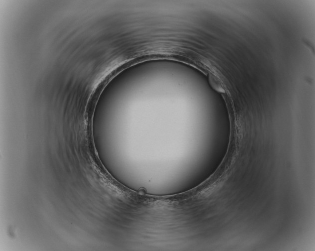 X0000103400779200809191520