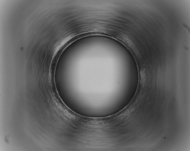 X0000103400780200809191520