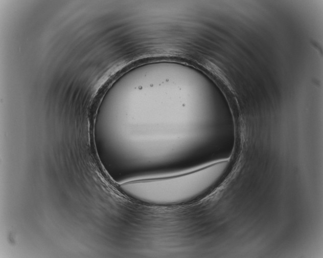 X0000103400781200809191520