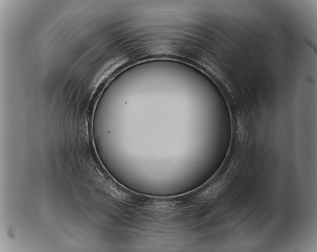 X0000103400782200809191520