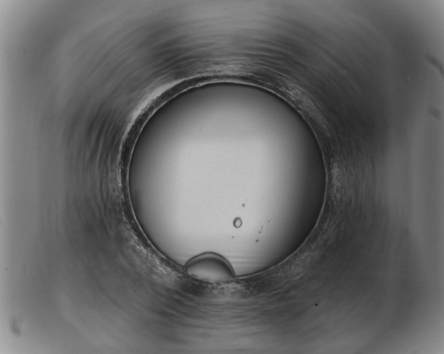 X0000103400784200809191520