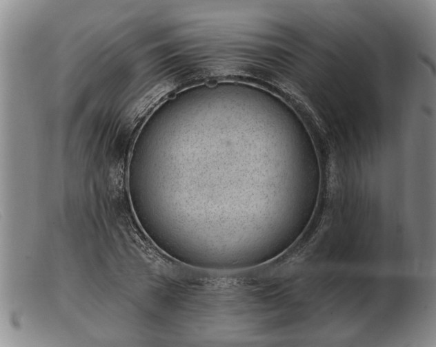 X0000103400785200809191520