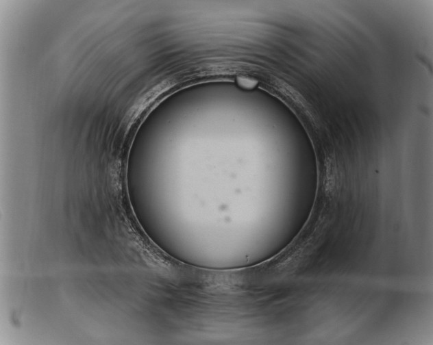 X0000103400786200809191520