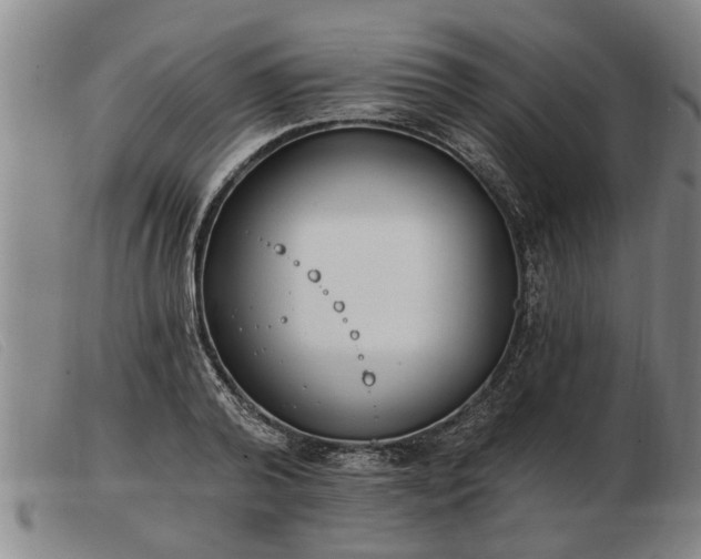 X0000103400792200809191520