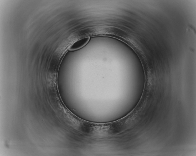 X0000103400793200809191520