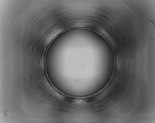 X0000103400794200809191520