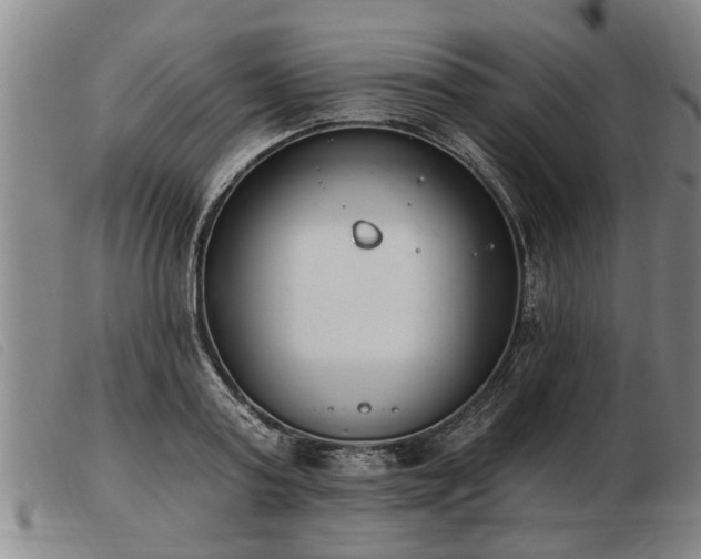 X0000103400795200809191520