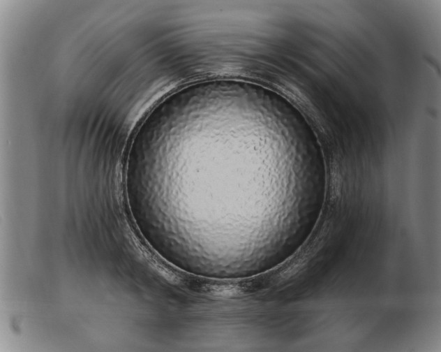 X0000103400798200809191520