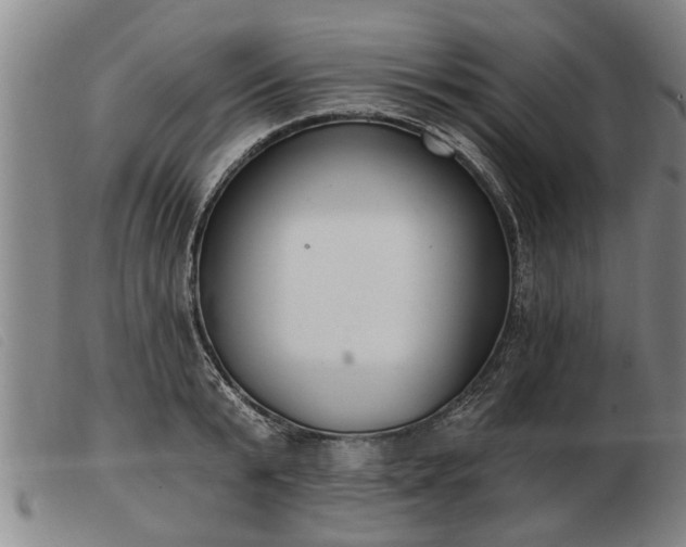 X0000103400799200809191520