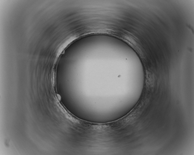 X0000103400804200809191520