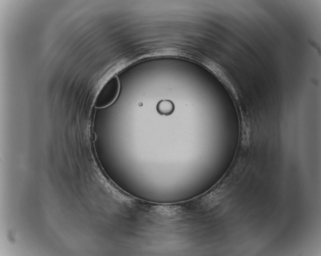 X0000103400805200809191520