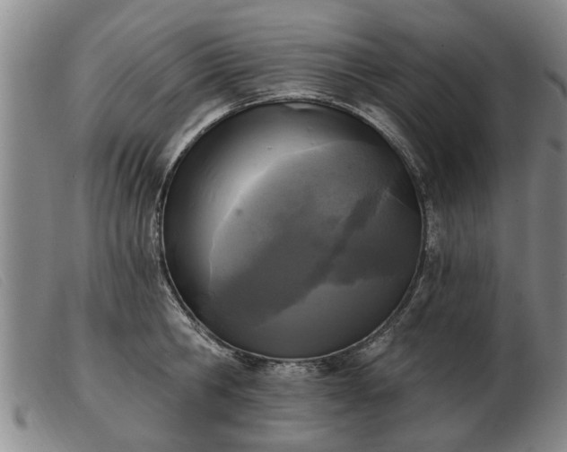 X0000103400806200809191520