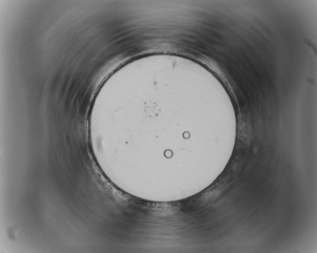 X0000103400807200809191520