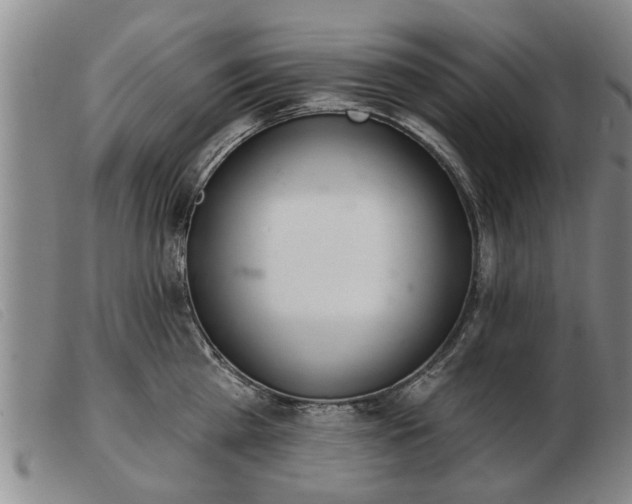 X0000103400809200809191520