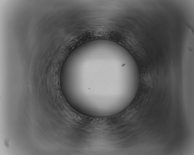 X0000103400817200809191519