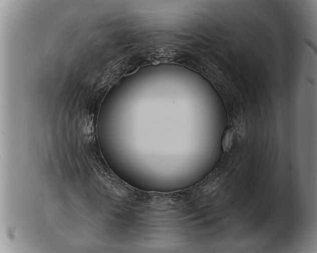 X0000103400818200809191519