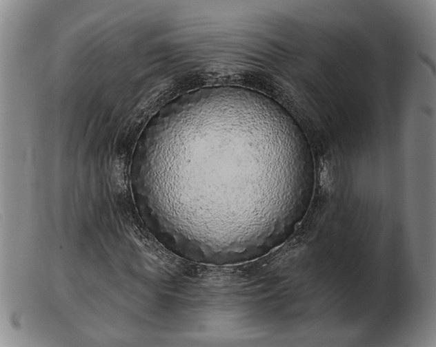 X0000103400819200809191519