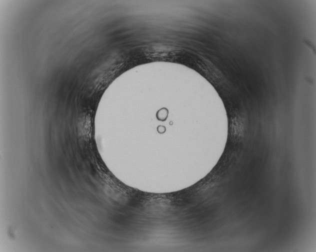 X0000103400820200809191519