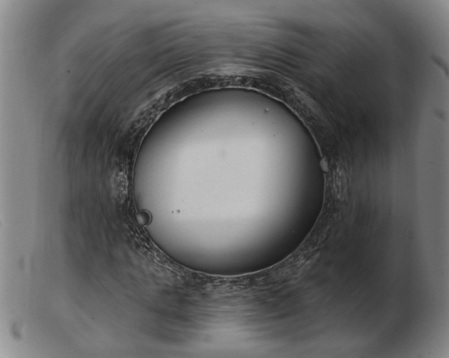 X0000103400821200809191519