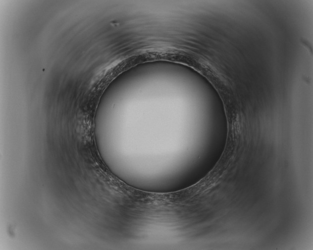 X0000103400822200809191519