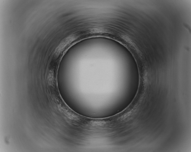 X0000103400825200809191519