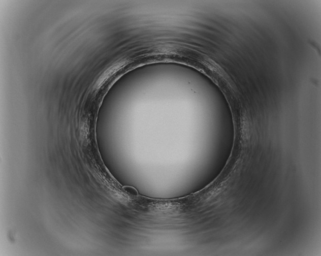 X0000103400826200809191519