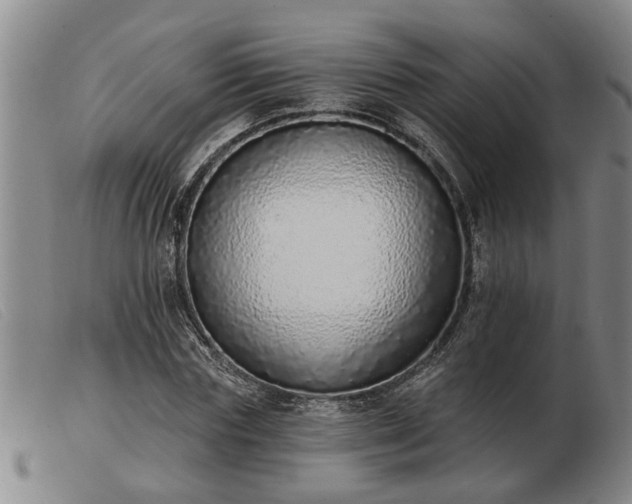 X0000103400827200809191519