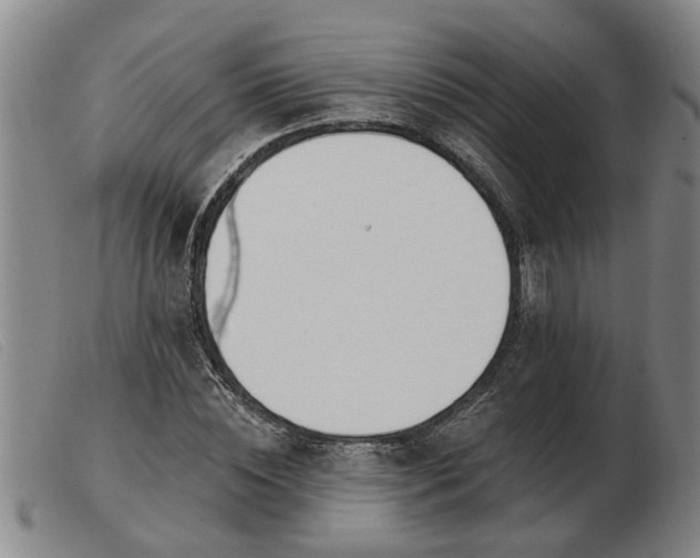 X0000103400828200809191519